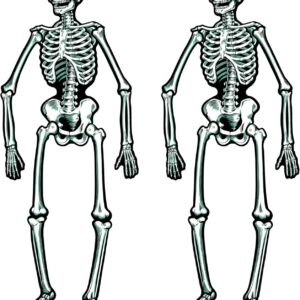 jointed skeletons