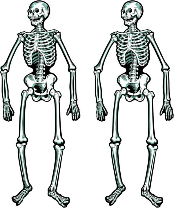 jointed skeletons